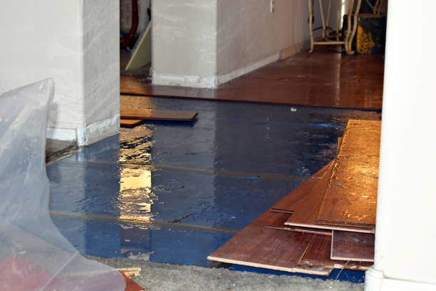 Professional Water Damage Restoration technician working in Frontenac, MN